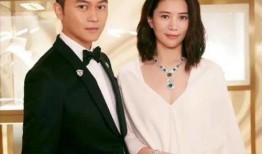 娱乐圈爆料知法犯法,明星知法犯法，法律底线不容挑战